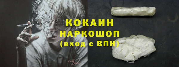 соль ск Козловка