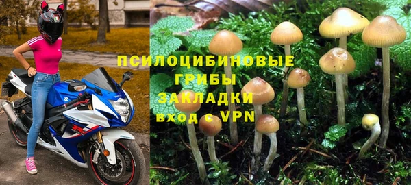 соль ск Козловка