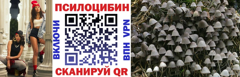 Купить где  Анапа  Галлюциногенные грибы MAGIC MUSHROOMS 